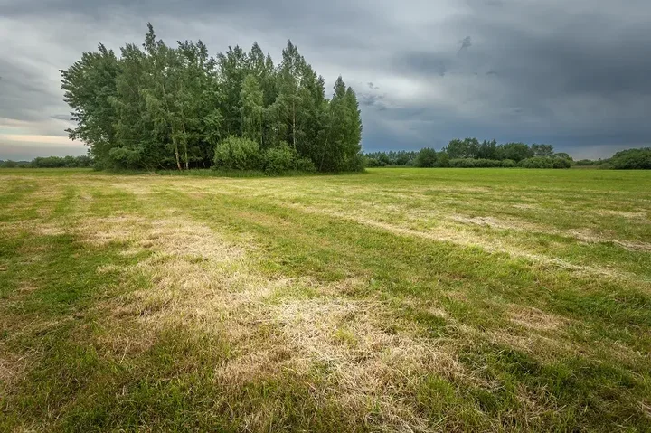Działka z mediami vs bez mediów – porównanie kosztów, zalet i wad