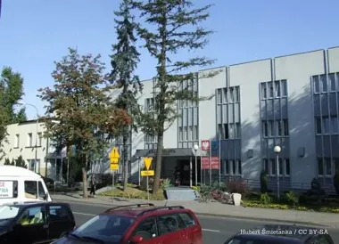 Jak wygląda cyfrowe dorastanie – eksperci SWPS rozbierają mity i pokazują złożoność tematu