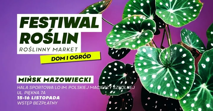 Grafika promocyjna wydarzenia Festiwal Roślin w Mińsku Mazowieckim — wielki market roślin w supercenach