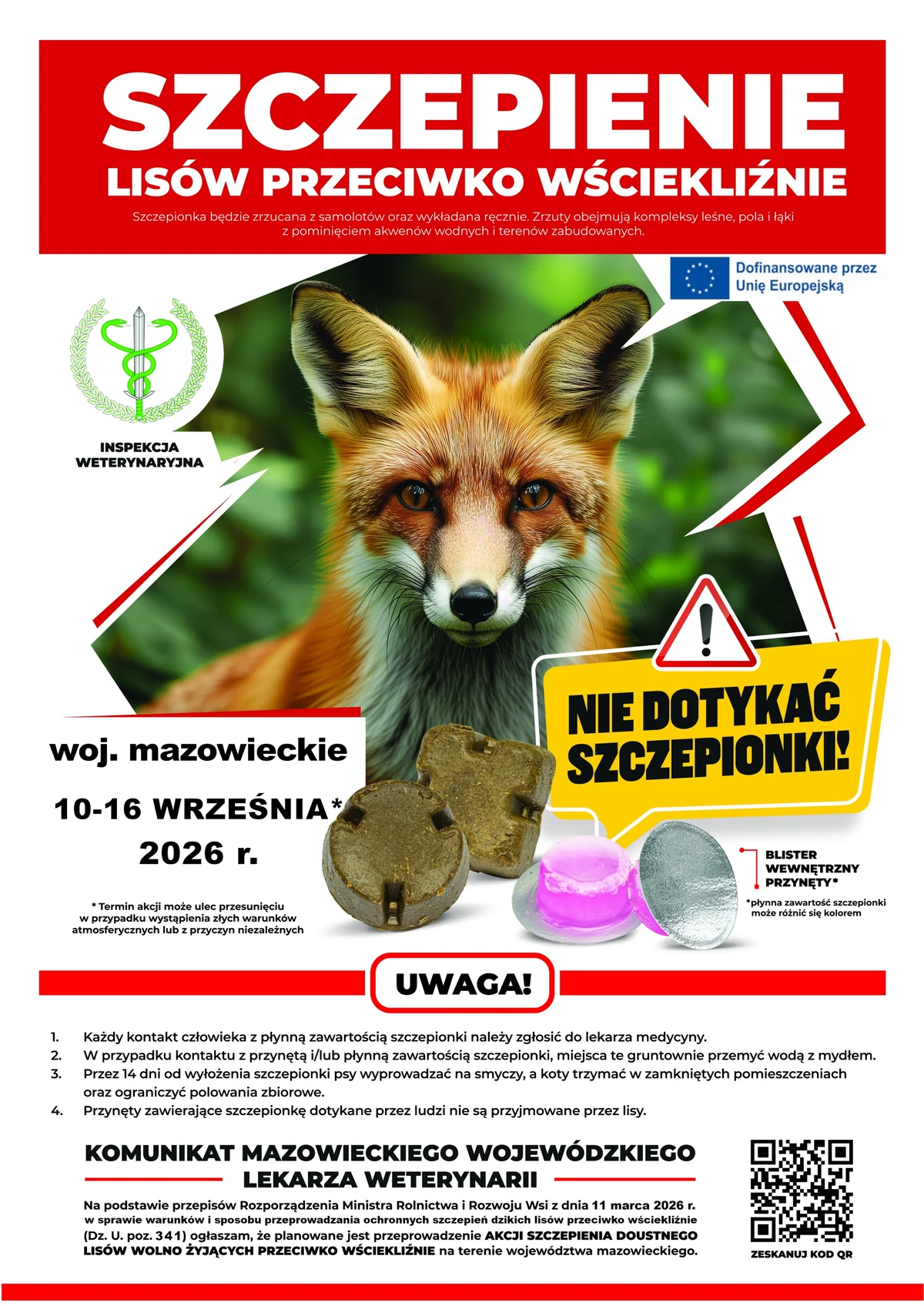 Grafika promocyjna wydarzenia Jesienna akcja szczepienia lisów przeciwko wściekliźnie