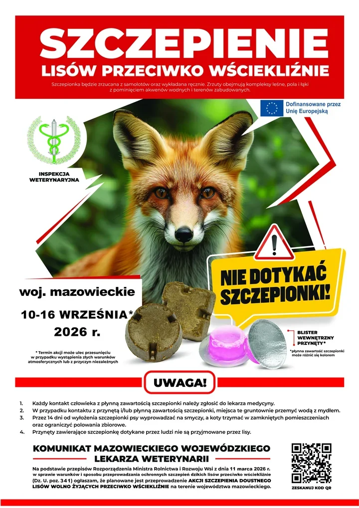 Szczepionka dla lisów z samolotów i lasu. Ważne zasady dla właścicieli zwierząt