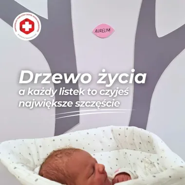 Drzewo Życia na oddziale położniczym – listki z imionami nowo narodzonych