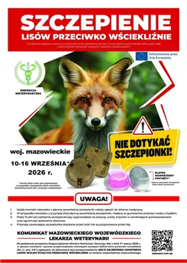 Szczepionka dla lisów z samolotów i lasu. Ważne zasady dla właścicieli zwierząt